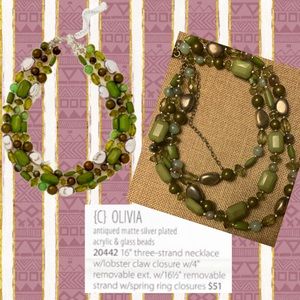 Premier Designs Olivia Necklace